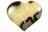 Polished Septarian Heart - Madagascar #156640-1
